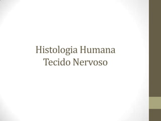Histologia Humana
Tecido Nervoso
 
