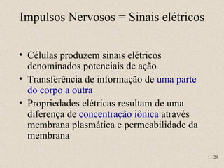 Impulsos Nervosos = Sinais elétricos Células produzem sinais elétricos denominados potenciais de ação Transferência de informação de  uma parte do corpo a outra Propriedades elétricas resultam de uma diferença de  concentração iônica  através membrana plasmática e permeabilidade da membrana 11- 