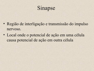 Sinapse Região de interligação e transmissão do impulso nervoso. Local onde o potencial de ação em uma célula causa potencial de ação em outra célula 