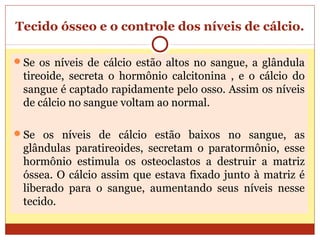 Tecido ósseo e o controle dos níveis de cálcio.
Se os níveis de cálcio estão altos no sangue, a glândula
tireoide, secreta o hormônio calcitonina , e o cálcio do
sangue é captado rapidamente pelo osso. Assim os níveis
de cálcio no sangue voltam ao normal.
Se os níveis de cálcio estão baixos no sangue, as
glândulas paratireoides, secretam o paratormônio, esse
hormônio estimula os osteoclastos a destruir a matriz
óssea. O cálcio assim que estava fixado junto à matriz é
liberado para o sangue, aumentando seus níveis nesse
tecido.
 