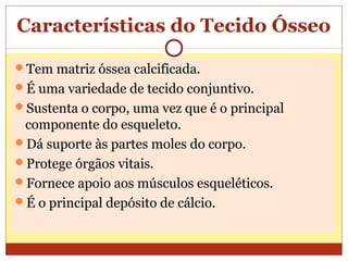 Características do Tecido Ósseo
Tem matriz óssea calcificada.
É uma variedade de tecido conjuntivo.
Sustenta o corpo, uma vez que é o principal
componente do esqueleto.
Dá suporte às partes moles do corpo.
Protege órgãos vitais.
Fornece apoio aos músculos esqueléticos.
É o principal depósito de cálcio.
 