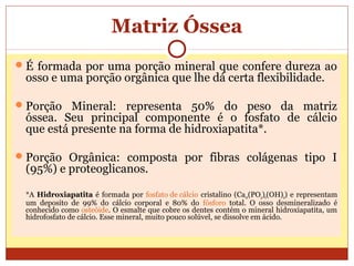Matriz Óssea
É formada por uma porção mineral que confere dureza ao
osso e uma porção orgânica que lhe dá certa flexibilidade.
Porção Mineral: representa 50% do peso da matriz
óssea. Seu principal componente é o fosfato de cálcio
que está presente na forma de hidroxiapatita*.
Porção Orgânica: composta por fibras colágenas tipo I
(95%) e proteoglicanos.
*A Hidroxiapatita é formada por fosfato de cálcio cristalino (Ca10(PO4)6(OH)2) e representam
um deposito de 99% do cálcio corporal e 80% do fósforo total. O osso desmineralizado é
conhecido como osteóide. O esmalte que cobre os dentes contém o mineral hidroxiapatita, um
hidrofosfato de cálcio. Esse mineral, muito pouco solúvel, se dissolve em ácido.
 