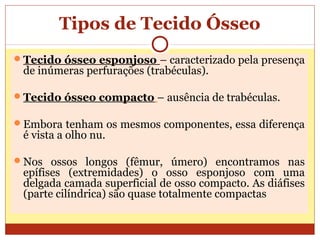 Tipos de Tecido Ósseo
Tecido ósseo esponjoso – caracterizado pela presença
de inúmeras perfurações (trabéculas).
Tecido ósseo compacto – ausência de trabéculas.
Embora tenham os mesmos componentes, essa diferença
é vista a olho nu.
Nos ossos longos (fêmur, úmero) encontramos nas
epífises (extremidades) o osso esponjoso com uma
delgada camada superficial de osso compacto. As diáfises
(parte cilíndrica) são quase totalmente compactas
 
