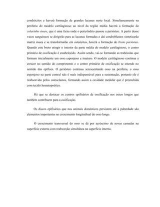 condrócitos e haverá formação de grandes lacunas neste local. Simultaneamente na
periferia do modelo cartilaginoso ao nível da região média haverá a formação do
colarinho ósseo, que é uma faixa onde o pericôndrio passou a periósteo. A partir desse
vasos sanguíneos se dirigirão para as lacunas formadas e daí condroblastos sintetizarão
matriz óssea e se transformarão em osteócitos, haverá a formação do broto periósteo.
Quando este broto atingir o interior da parte média do modelo cartilaginoso, o centro
primário de ossificação é estabelecido. Assim sendo, vai-se formando as trabéculas que
formam inicialmente um osso esponjoso e imaturo. O modelo cartilaginoso continua a
crescer no sentido do comprimento e o centro primário de ossificação se estende no
sentido das epífises. O periósteo continua acrescentando osso na periferia, o osso
esponjoso na parte central não é mais indispensável para a sustentação, portanto ele é
reabsorvido pelos osteoclastos, formando assim a cavidade medular que é preenchida
com tecido hematopoético.
Há que se destacar os centros epifisários de ossificação nos ossos longos que
também contribuem para a ossificação.
Os discos epifisários que nos animais domésticos persistem até à puberdade são
elementos importantes no crescimento longitudinal do osso longo.
O crescimento transversal do osso se dá por acréscimo de novas camadas na
superfície externa com reabsorção simultânea na superfície interna.

 