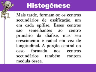 Histogênese
Mais tarde, formam-se os centros
secundários de ossificação, um
em cada epífise. Esses centros
são semelhantes ao centro
primário da diáfise, mas seu
crescimento é radial em vez de
longitudinal. A porção central do
osso formado nos centros
secundários também contem
medula óssea.
 