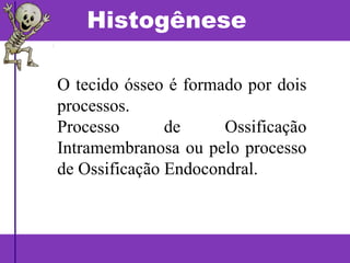 Histogênese
O tecido ósseo é formado por dois
processos.
Processo de Ossificação
Intramembranosa ou pelo processo
de Ossificação Endocondral.
 