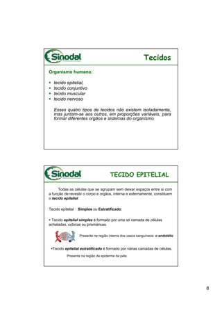 Tecidos
Organismo humano:

   tecido epitelial,
   tecido conjuntivo
   tecido muscular
   tecido nervoso

   Esses quatro tipos de tecidos não existem isoladamente,
   mas juntam-se aos outros, em proporções variáveis, para
   formar diferentes orgãos e sistemas do organismo.




                                     TECIDO EPITELIAL

      Todas as células que se agrupam sem deixar espaços entre si com
a função de revestir o corpo e orgãos, interna e externamente, constituem
o tecido epitelial.

Tecido epitelial : Simples ou Estratificado.

 Tecido epitelial simples é formado por uma só camada de células
achatadas, cúbicas ou prismáricas.

                  Presente na região interna dos vasos sanguíneos: o endotélio


  Tecido epitelial estratificado é formado por várias camadas de células.
          Presente na região da epiderme da pele.




                                                                                 8
 