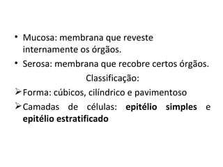 Mucosa: membrana que reveste internamente os órgãos. Serosa: membrana que recobre certos órgãos. Classificação: Forma: cúbicos, cilíndrico e pavimentoso Camadas de células:  epitélio simples  e  epitélio estratificado 