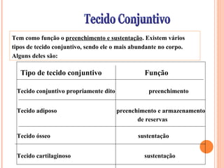 Tecido Conjuntivo Tem como função o  preenchimento e sustentação . Existem vários tipos de tecido conjuntivo, sendo ele o mais abundante no corpo. Alguns deles são: Tipo de tecido conjuntivo  Função Tecido conjuntivo propriamente dito   preenchimento   Tecido adiposo  preenchimento e armazenamento de reservas   Tecido ósseo  sustentação  Tecido cartilaginoso  sustentação   