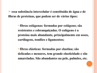 essa substância intercelular é constituída de água e de fibras de proteínas, que podem ser de vários tipos: fibras colágenas: formadas por colágeno; são resistentes e esbranquiçadas. O colágeno é a proteína mais abundante, principalmente em ossos, cartilagens, tendões e ligamentos; fibras elásticas: formadas por elastina; são delicadas e menores, tem grande elasticidade e são amareladas. São abundantes na pele, pulmões, etc.   