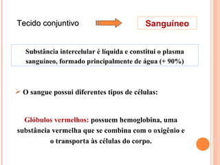 Tecido conjuntivo Sanguíneo Substância intercelular é líquida e constitui o plasma sanguíneo, formado principalmente de água (+ 90%) O sangue possui diferentes tipos de células: Glóbulos vermelhos:  possuem hemoglobina, uma substância vermelha que se combina com o oxigênio e o transporta às células do corpo. 