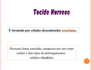Tecido Nervoso É formado por células denominadas  neurônios Possuem forma estrelada, compostas por um corpo celular e dois tipos de prolongamentos:  axônio e dendritos 
