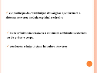 ele participa da constituição dos órgãos que formam o sistema nervoso: medula espinhal e cérebro os neurônios são sensíveis a estímulos ambientais externos ou do próprio corpo.  conduzem e interpretam impulsos nervosos  