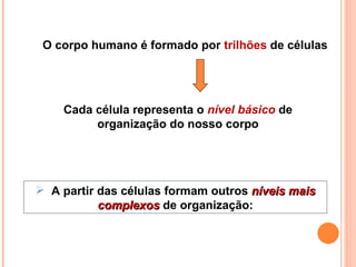 O corpo humano é formado por  trilhões  de células Cada célula representa o  nível básico   de organização do nosso corpo A partir das células formam outros  níveis mais complexos   de organização: 