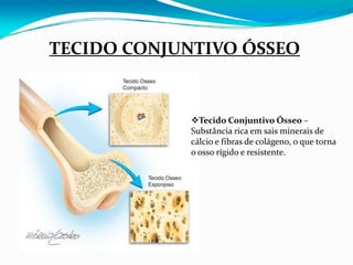TECIDO CONJUNTIVO ÓSSEO


               Tecido Conjuntivo Ósseo –
             Substância rica em sais minerais de 
             cálcio e fibras de colágeno, o que torna 
             o osso rígido e resistente.
 