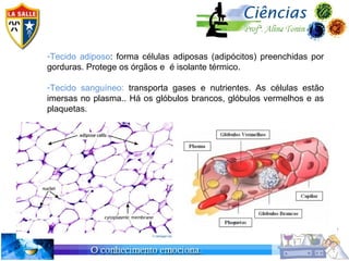 -Tecido adiposo: forma células adiposas (adipócitos) preenchidas por
gorduras. Protege os órgãos e é isolante térmico.

-Tecido sanguíneo: transporta gases e nutrientes. As células estão
imersas no plasma.. Há os glóbulos brancos, glóbulos vermelhos e as
plaquetas.
 