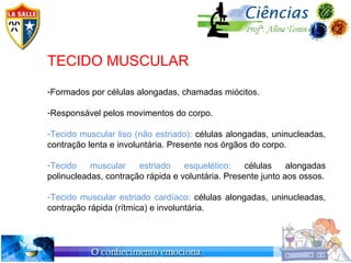 TECIDO MUSCULAR
-Formados por células alongadas, chamadas miócitos.

-Responsável pelos movimentos do corpo.

-Tecido muscular liso (não estriado): células alongadas, uninucleadas,
contração lenta e involuntária. Presente nos órgãos do corpo.

-Tecido    muscular    estriado    esquelético:    células    alongadas
polinucleadas, contração rápida e voluntária. Presente junto aos ossos.

-Tecido muscular estriado cardíaco: células alongadas, uninucleadas,
contração rápida (rítmica) e involuntária.
 