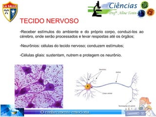 TECIDO NERVOSO
-Receber estímulos do ambiente e do próprio corpo, conduzi-los ao
cérebro, onde serão processados e levar respostas até os órgãos;

-Neurônios: células do tecido nervoso; conduzem estímulos;

-Células gliais: sustentam, nutrem e protegem os neurônio.
 