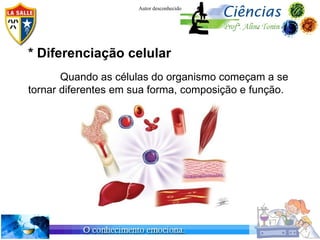 Autor desconhecido




* Diferenciação celular
       Quando as células do organismo começam a se
tornar diferentes em sua forma, composição e função.
 