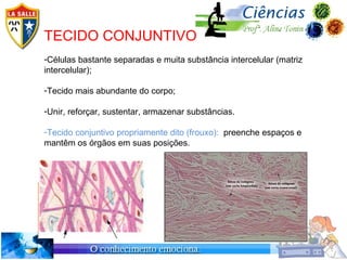 TECIDO CONJUNTIVO
-Células bastante separadas e muita substância intercelular (matriz
intercelular);

-Tecido mais abundante do corpo;

-Unir, reforçar, sustentar, armazenar substâncias.

-Tecido conjuntivo propriamente dito (frouxo): preenche espaços e
mantêm os órgãos em suas posições.
 