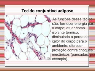 Tecido conjuntivo adiposo
               As funções desse tecido
              são: fornecer energia para
              o corpo; atuar como
              isolante térmico,
              diminuindo a perda de
              calor do corpo para o
               .
              ambiente; oferecer
              proteção contra choques
              mecânicos (pancadas, por
              exemplo).
 