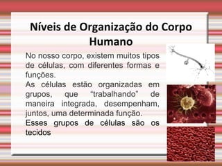 Níveis de Organização do Corpo
            Humano
No nosso corpo, existem muitos tipos
de células, com diferentes formas e
funções.
As células estão organizadas em
grupos,    que   “trabalhando”    de
maneira integrada, desempenham,
juntos, uma determinada função.
Esses grupos de células são os
tecidos.
 