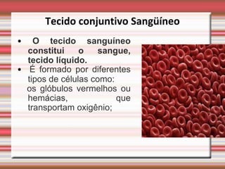 Tecido conjuntivo Sangüíneo
•   O tecido sanguíneo
  constitui     o    sangue,
  tecido líquido.
• É formado por diferentes
  tipos de células como:
  os glóbulos vermelhos ou
  hemácias,              que
  transportam oxigênio;
 