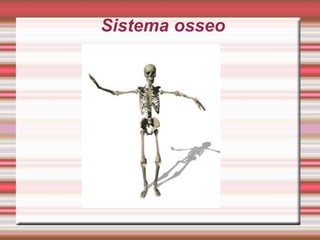 Sistema osseo
 