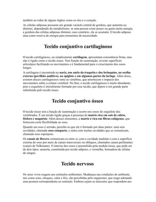 também ao redor de alguns órgãos como os rins e o coração.
As células adiposas possuem um grande vacúolo central de gordura, que aumenta ou
diminui, dependendo do metabolismo: se uma pessoa come pouco ou gasta muita energia,
a gordura das células adiposas diminui; caso contrário, ela se acumula. O tecido adiposo
atua como reserva de energia para momentos de necessidade.


                Tecido conjuntivo cartilaginoso
O tecido cartilaginoso, ou simplesmente cartilagem, apresentam consistência firme, mas
não é rígido como o tecido ósseo. Tem função de sustentação, reveste superfícies
articulares facilitando os movimentos e é fundamental para o crescimento dos ossos
longos.
A cartilagem é encontrada no nariz, nos anéis da traquéia e dos brônquios, na orelha
externa (pavilhão auditivo), na epiglote e em algumas partes da laringe. Além disso,
existem discos cartilaginosos entre as vértebras, que amortecem o impacto dos
movimentos sobre a coluna vertebral. No feto, o tecido cartilaginoso é muito abundante,
pois o esqueleto é inicialmente formado por esse tecido, que depois é em grande parte
substituído pelo tecido ósseo.


                       Tecido conjuntivo ósseo
O tecido ósseo tem a função de sustentação e ocorre nos ossos do esqueleto dos
vertebrados. É um tecido rígido graças à presença de matriz rica em sais de cálcio,
fósforo e magnésio. Além desses elementos, a matriz é rica em fibras colágenas, que
fornecem certa flexibilidade ao osso.
Quando um osso é serrado, percebe-se que ele é formado por duas partes: uma sem
cavidades, chamada osso compacto, e outra com muitas cavidades que se comunicam,
chamada osso esponjoso.
Os canais de Havers comunicam-se entre si, com a cavidade medular e com a superfície
externa do osso por meio de canais transversais ou oblíquos, chamados canais perfurantes
(canais de Volkmann). O interior dos ossos é preenchido pela medula óssea, que pode ser
de dois tipos: amarela, constituída por tecido adiposo, e vermelha, formadora de células
do sangue.


                              Tecido nervoso
Os seres vivos reagem aos estímulos ambientais. Mudanças nas condições do ambiente,
tais como sons, choques, calor e frio, são percebidas pelo organismo, que reage adotando
uma postura correspondente ao estímulo. Embora sejam os músculos que respondem aos
 