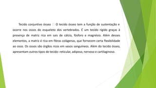 Tecido conjuntivo ósseo 🡪 O tecido ósseo tem a função de sustentação e
ocorre nos ossos do esqueleto dos vertebrados. É um tecido rígido graças à
presença de matriz rica em sais de cálcio, fósforo e magnésio. Além desses
elementos, a matriz é rica em fibras colágenas, que fornecem certa flexibilidade
ao osso. Os ossos são órgãos ricos em vasos sanguíneos. Além do tecido ósseo,
apresentam outros tipos de tecido: reticular, adiposo, nervoso e cartilaginoso.
 