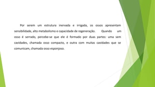Por serem um estrutura inervada e irrigada, os ossos apresentam
sensibilidade, alto metabolismo e capacidade de regeneração. Quando um
osso é serrado, percebe-se que ele é formado por duas partes: uma sem
cavidades, chamada osso compacto, e outra com muitas cavidades que se
comunicam, chamada osso esponjoso.
 