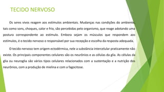 TECIDO NERVOSO
Os seres vivos reagem aos estímulos ambientais. Mudanças nas condições do ambiente,
tais como sons, choques, calor e frio, são percebidas pelo organismo, que reage adotando uma
postura correspondente ao estímulo. Embora sejam os músculos que respondem aos
estímulos, é o tecido nervoso o responsável por sua recepção e escolha da resposta adequada.
O tecido nervoso tem origem ectodérmica, nele a substância intercelular praticamente não
existe. Os principais componentes celulares são os neurônios e as células da glia. As células da
glia ou neuroglia são vários tipos celulares relacionados com a sustentação e a nutrição dos
neurônios, com a produção de mielina e com a fagocitose.
 