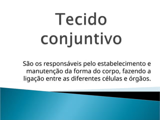 São os responsáveis pelo estabelecimento e
manutenção da forma do corpo, fazendo a
ligação entre as diferentes células e órgãos.
 