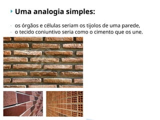  Uma analogia simples:
- os órgãos e células seriam os tijolos de uma parede,
- o tecido conjuntivo seria como o cimento que os une.
 