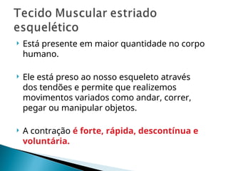  Está presente em maior quantidade no corpo
humano.
 Ele está preso ao nosso esqueleto através
dos tendões e permite que realizemos
movimentos variados como andar, correr,
pegar ou manipular objetos.
 A contração é forte, rápida, descontínua e
voluntária.
 