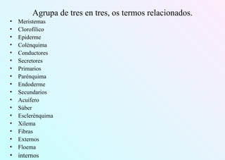 Agrupa de tres en tres, os termos relacionados.
• Meristemas
• Clorofílico
• Epiderme
• Colénquima
• Conductores
• Secretores
• Primarios
• Parénquima
• Endoderme
• Secundarios
• Acuífero
• Súber
• Esclerénquima
• Xilema
• Fibras
• Externos
• Floema
• internos
 