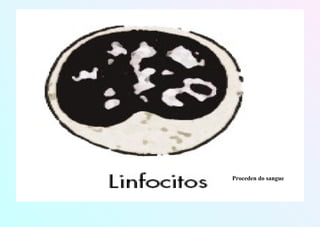 Proceden do sangue
 