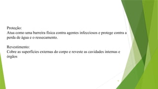 10
Proteção:
Atua como uma barreira física contra agentes infecciosos e protege contra a
perda de água e o ressecamento.
Revestimento:
Cobre as superfícies externas do corpo e reveste as cavidades internas e
órgãos
 