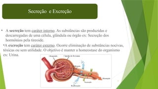 11
•A excreção tem caráter externo. Ocorre eliminação de substâncias nocivas,
tóxicas ou sem utilidade. O objetivo é manter a homeostase do organismo
ex: Urina.
• A secreção tem caráter interno. As substâncias são produzidas e
descarregadas de uma célula, glândula ou órgão ex: Secreção dos
hormônios pela tireoide.
Secreção e Excreção
 