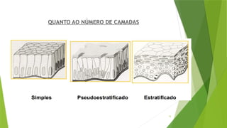 16
QUANTO AO NÚMERO DE CAMADAS
 