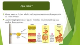 3
 Quase todos os órgãos são formados por uma combinação organizada
de vários tecidos.
 A combinação precisa dos tecidos permite o funcionamento de cada
órgão e do organismo .
Oque seria ?
 