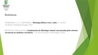 35
REVIELLO, Juliana da Silva. Fundamentos da Histologia Animal: uma jornada pelos sistemas
estruturais na medicina veterinária. 1. ed. Rio de Janeiro: Freitas Bastos, 2024.
JUNQUEIRA, L. C.; CARNEIRO, J. Histologia Básica: texto e atlas. 13. ed. Rio
de Janeiro: Guanabara Koogan, 2017.
Referências
 