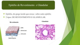 5
 Epitélio, do grego tecido que cresce sobre outro epitélio
 2 tipos: DE REVESTIMENTO E GLANDULAR.
Epitélio de Revestimento e Glandular
Revestimento
Glandular
 