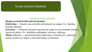 7
Classificação das glândulas
Quanto ao local de liberação do produto:
Endócrinas → lançam suas secreções diretamente no sangue .Ex.: hipófise,
tireoide, adrenais.
Exócrinas → eliminam secreções para fora do corpo ou em cavidades internas,
através de ductos. Ex.: glândulas sudoríparas, salivares, sebáceas.
Mistas anfícrinas → possuem porções endócrinas e exócrinas.Ex.: pâncreas
secreta insulina no sangue e suco pancreático no intestino.
Tecido Epitelial Glandular
 