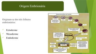 8
Originam-se dos três folhetos
embrionários:
 Ectoderme
 Mesoderme
 Endoderme
Origem Embrionária
 