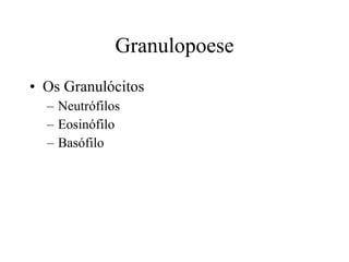 Granulopoese Os Granulócitos Neutrófilos Eosinófilo Basófilo 