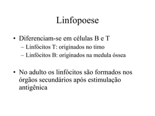 Linfopoese Diferenciam-se em células B e T Linfócitos T: originados no timo Linfócitos B: originados na medula óssea No adulto os linfócitos são formados nos órgãos secundários após estimulação antigênica 