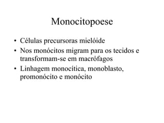 Monocitopoese Células precursoras mielóide Nos monócitos migram para os tecidos e transformam-se em macrófagos Linhagem monocítica, monoblasto, promonócito e monócito 