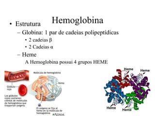 Hemoglobina Estrutura Globina: 1 par de cadeias polipeptídicas 2 cadeias  β 2 Cadeias  α Heme A Hemoglobina possui 4 grupos HEME 