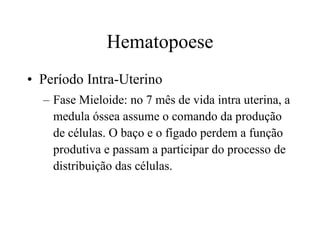 Hematopoese Período Intra-Uterino Fase Mieloide: no 7 mês de vida intra uterina, a medula óssea assume o comando da produção de células. O baço e o fígado perdem a função produtiva e passam a participar do processo de distribuição das células. 